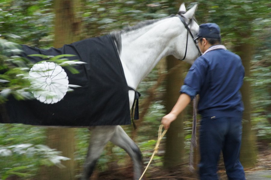 神馬