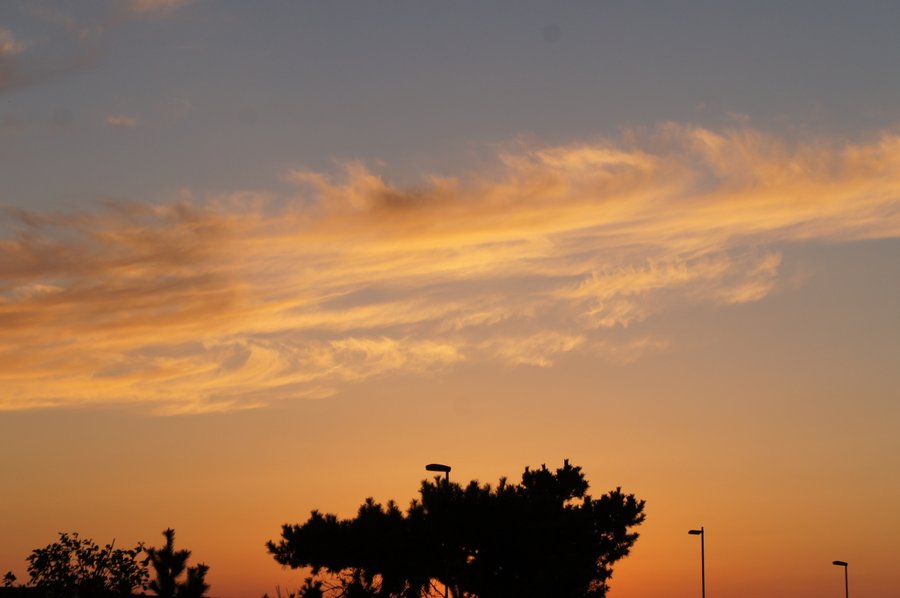 夕陽