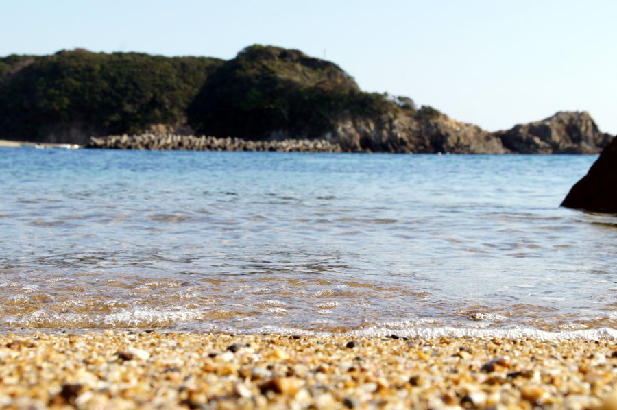 海岸