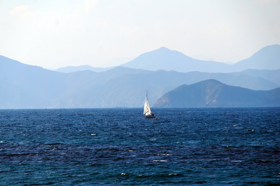 海