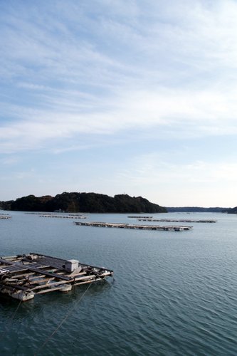 的矢湾