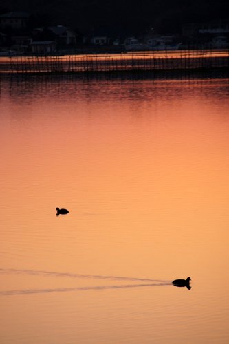 夕暮れ