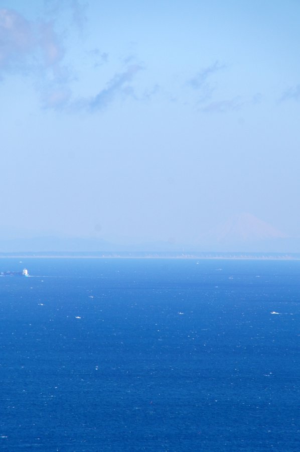 海
