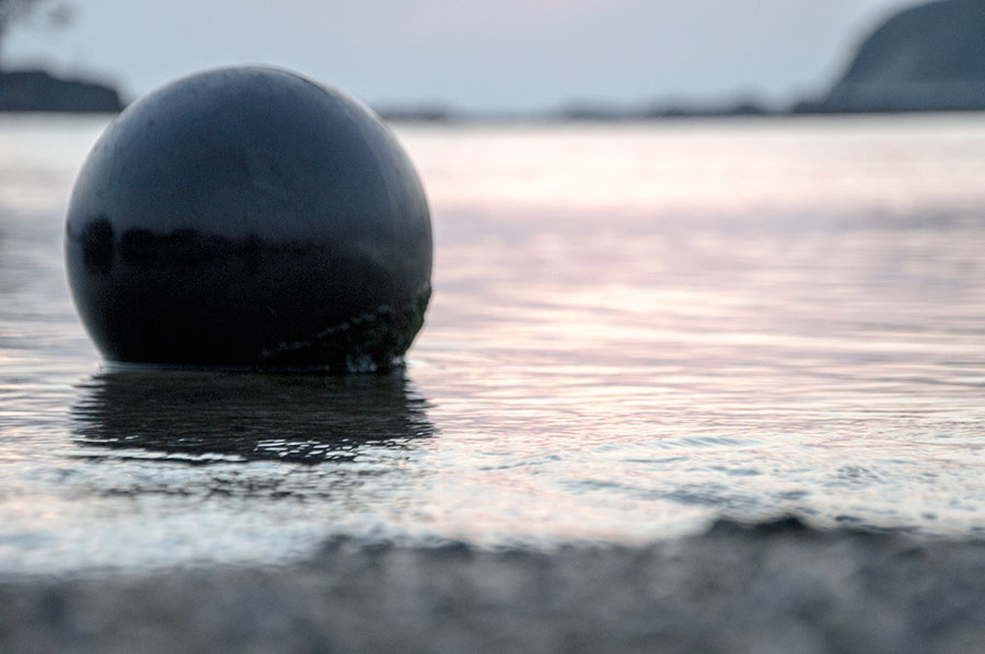 海