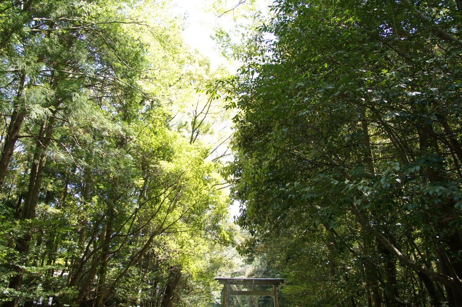 伊勢神宮　内宮