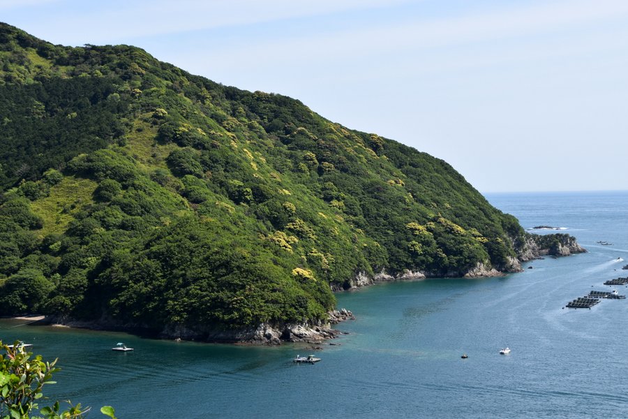 リアス式海岸