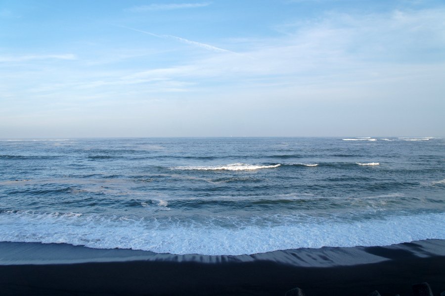 海