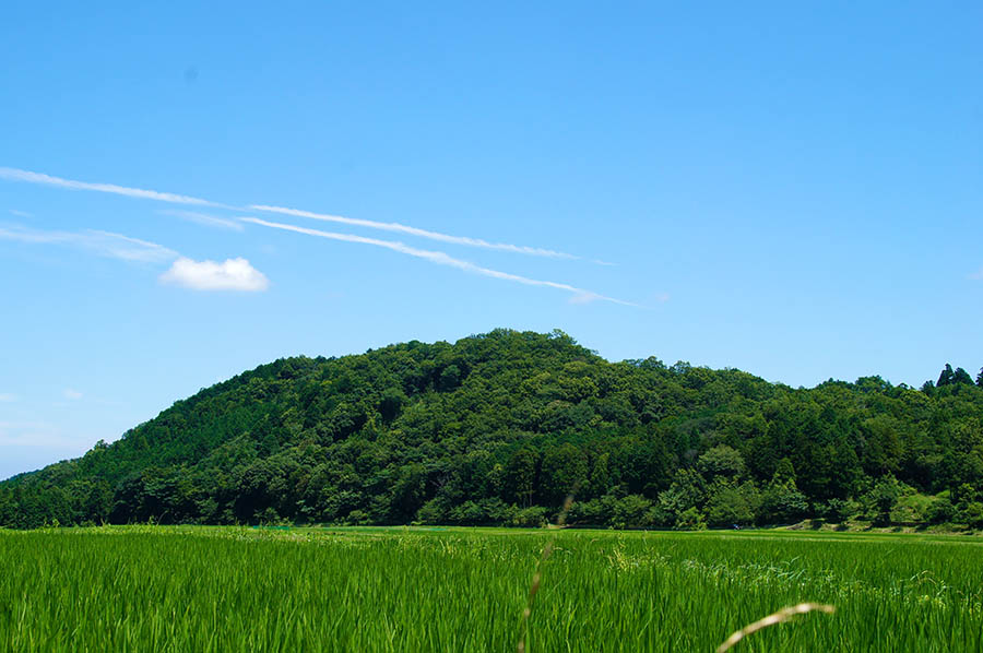 伊勢