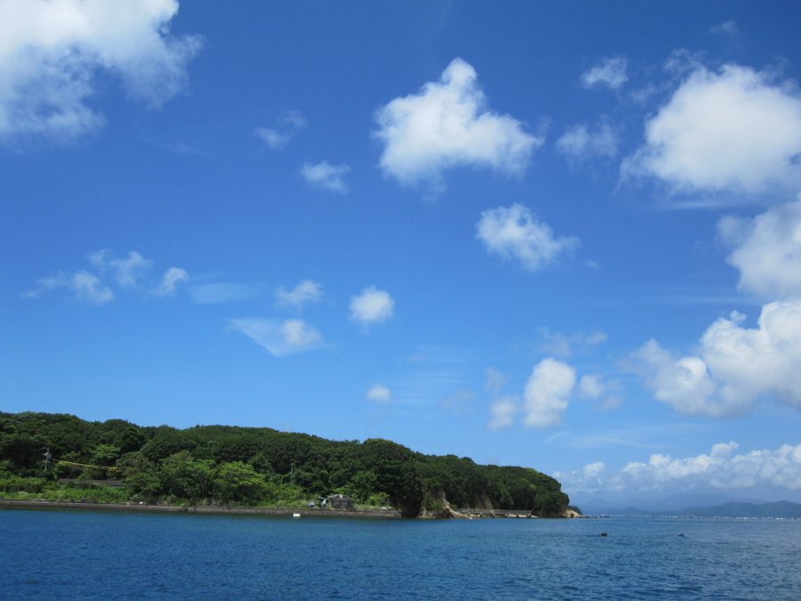 海