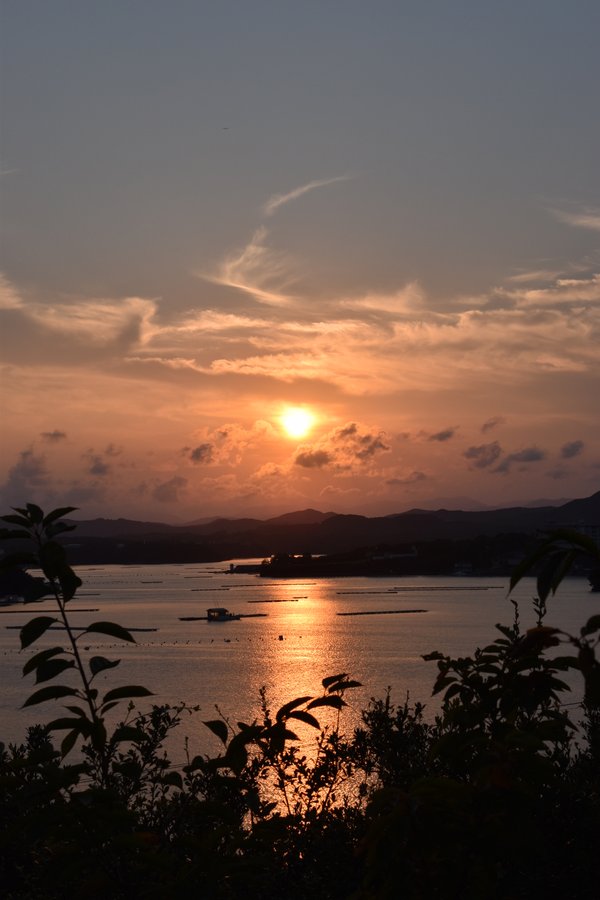 夕陽