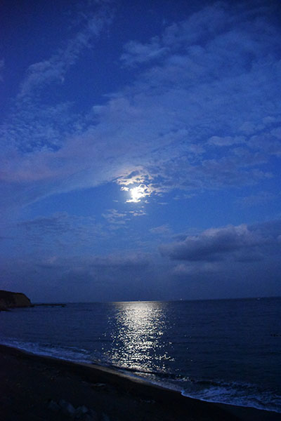 海