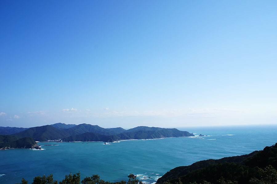 海