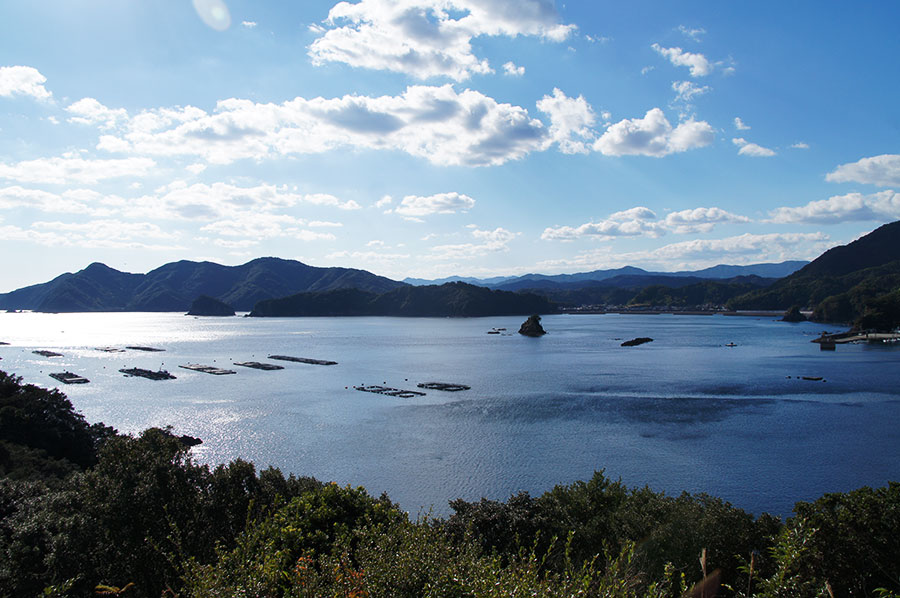 海