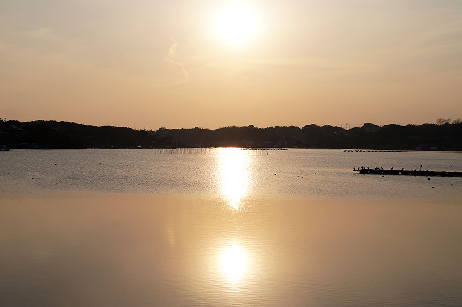 夕暮れ