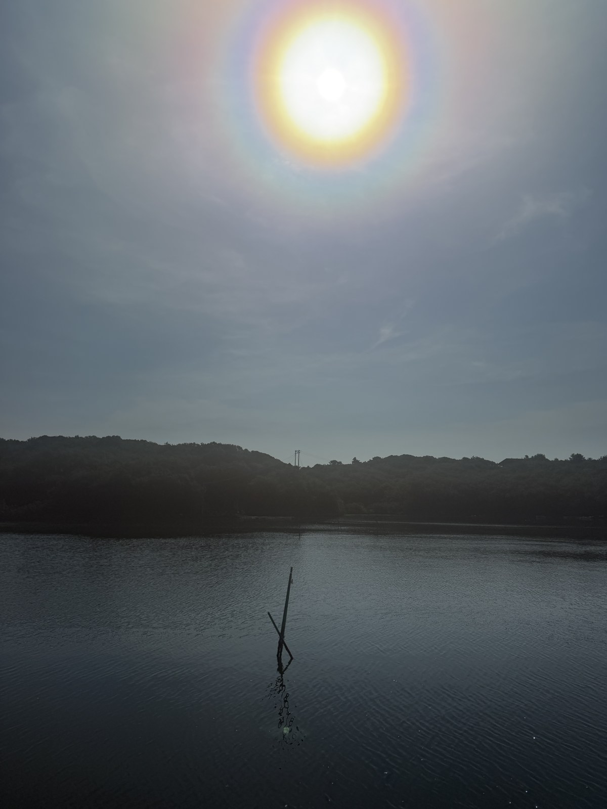 朝の入り江。空の高いところに太陽があり、そのまわりに虹色の輪がひろがっている。対岸の山も水面も暗く沈み、手前の水面から細い枝が一本、斜めに突き出している。