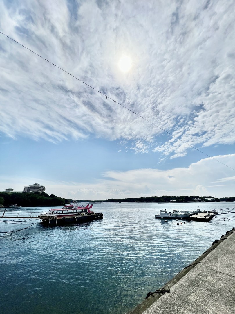 湾の岸壁から見た昼の空。上半分がびっしりと鱗のような雲におおわれ、そのすぐ下に夏の青がひと帯だけ残っている。空を電線が一本、斜めに横切っていて、その線に小さいものが二つ、ひっかかったまま。ひとつは下にぶらさがり、ひとつは線の上に乗っている。水面は静かで、左に桟橋とピンクと白の船、右に白い漁船が数隻。対岸は低い緑の島影。