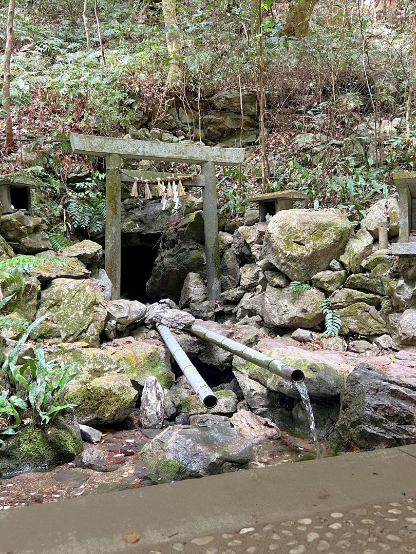 森の中の岩の斜面。積み上げた岩の上に石の鳥居が立ち、注連縄と白い紙垂が下がっている。鳥居の下、岩と岩のあいだに黒い穴が開いていて、中は暗いまま。手前の岩から樋が二本斜めに突き出し、それぞれの先から水が細く落ちている。まわりは苔と羊歯の緑、上には枯れ葉の積もった斜面と杉の木立。足元は丸い石を敷いた石畳。人は写っていない。
