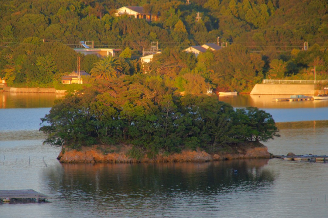 夕方の入江に浮かぶ小さな島。木が茂り、水面に島影が映っている。奥の斜面には家が建ち並び、岸には真珠のいかだ。