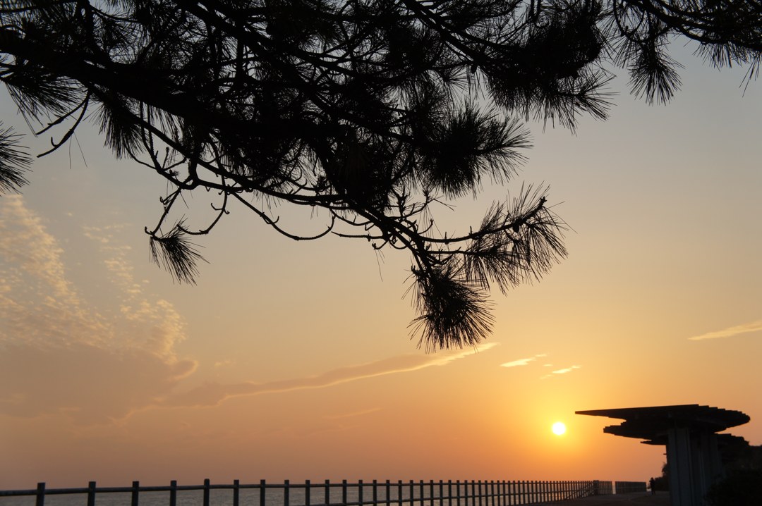 松の枝のシルエットと夕日、柵と東屋（志摩町 広の浜）