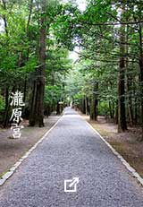 瀧原宮。まっすぐに伸びる砂利の参道