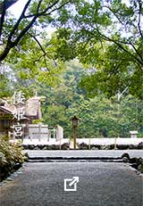 倭姫宮。木立の中の参道