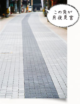 石畳の道。真ん中に、色の濃い帯がまっすぐ奥へ伸びている