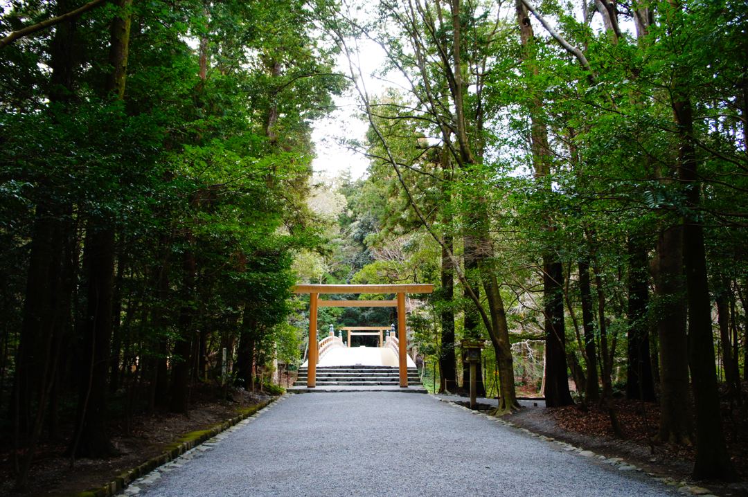 風日祈宮橋へ向かう参道。冬。木立の奥に鳥居が見える