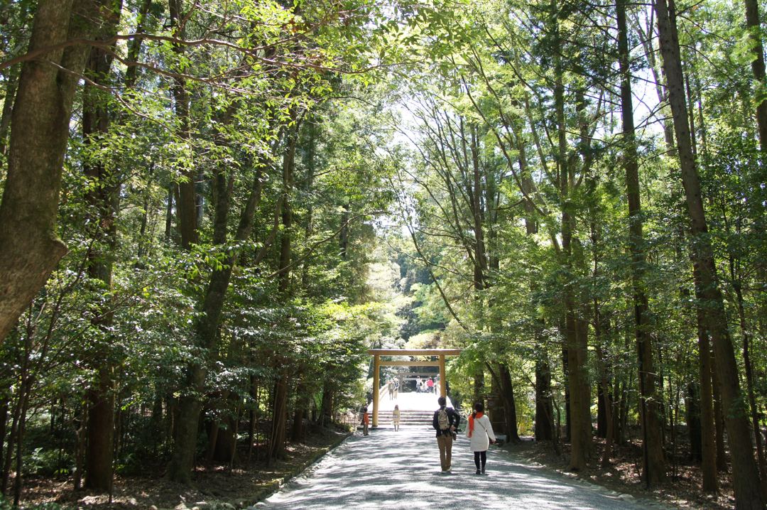 同じ道。4月。明るい木漏れ日のなか、二人が鳥居のほうへ歩いていく