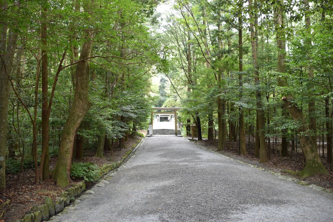 同じ道。9月。道の先に白く開けた場所が見える