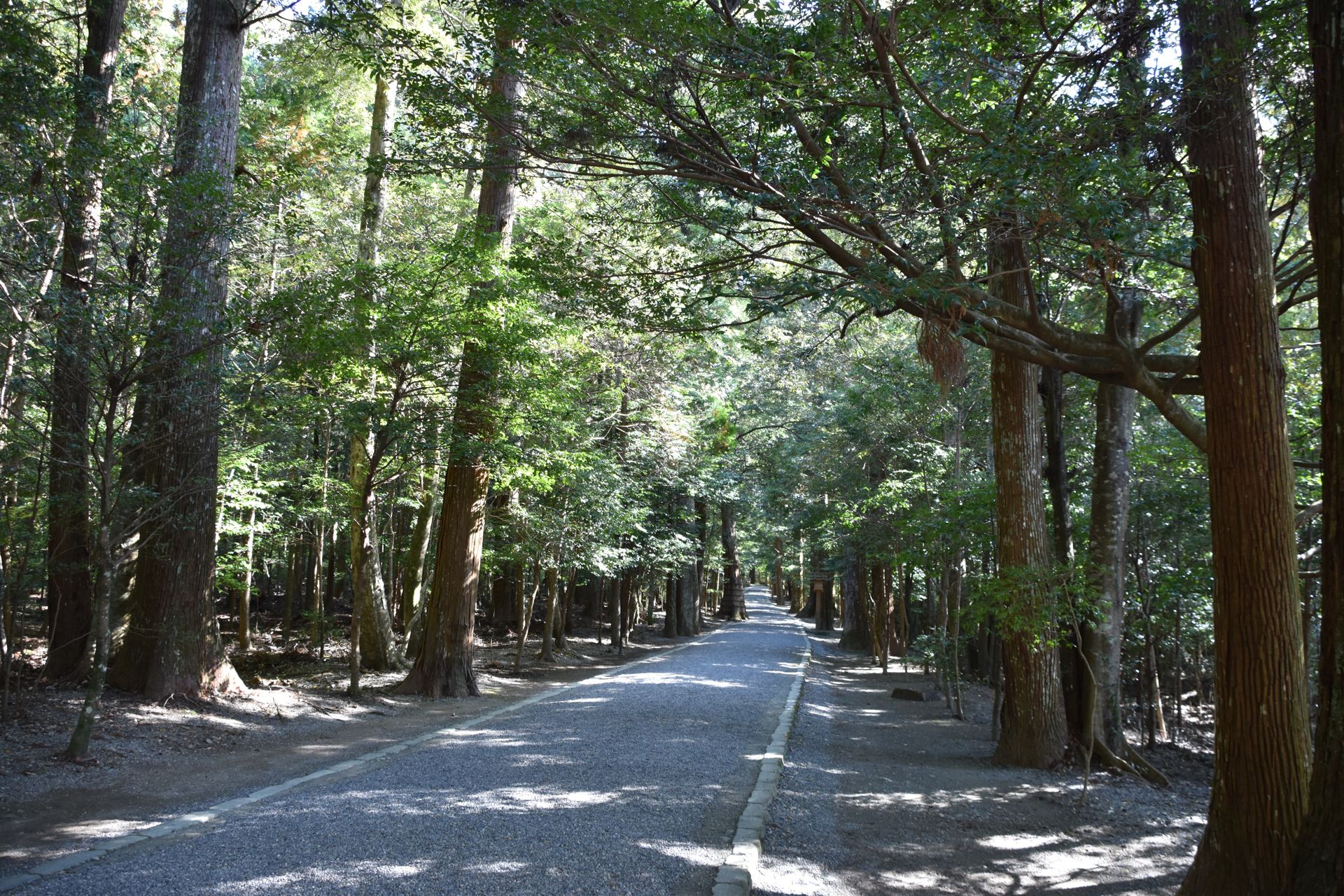 同じ参道。晩秋。道の先が明るく開けている