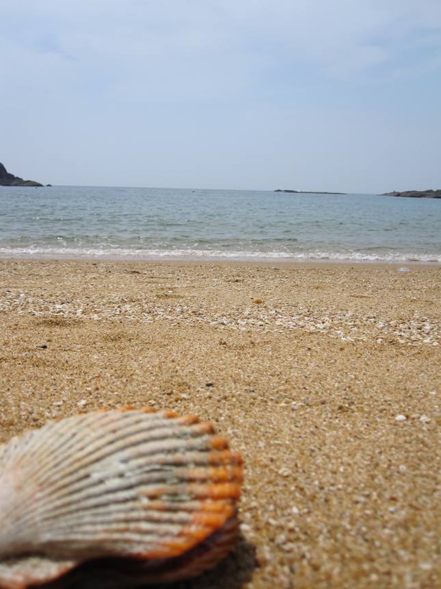 あづり浜
