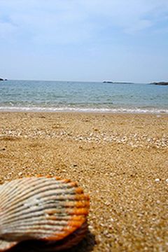 あづり浜